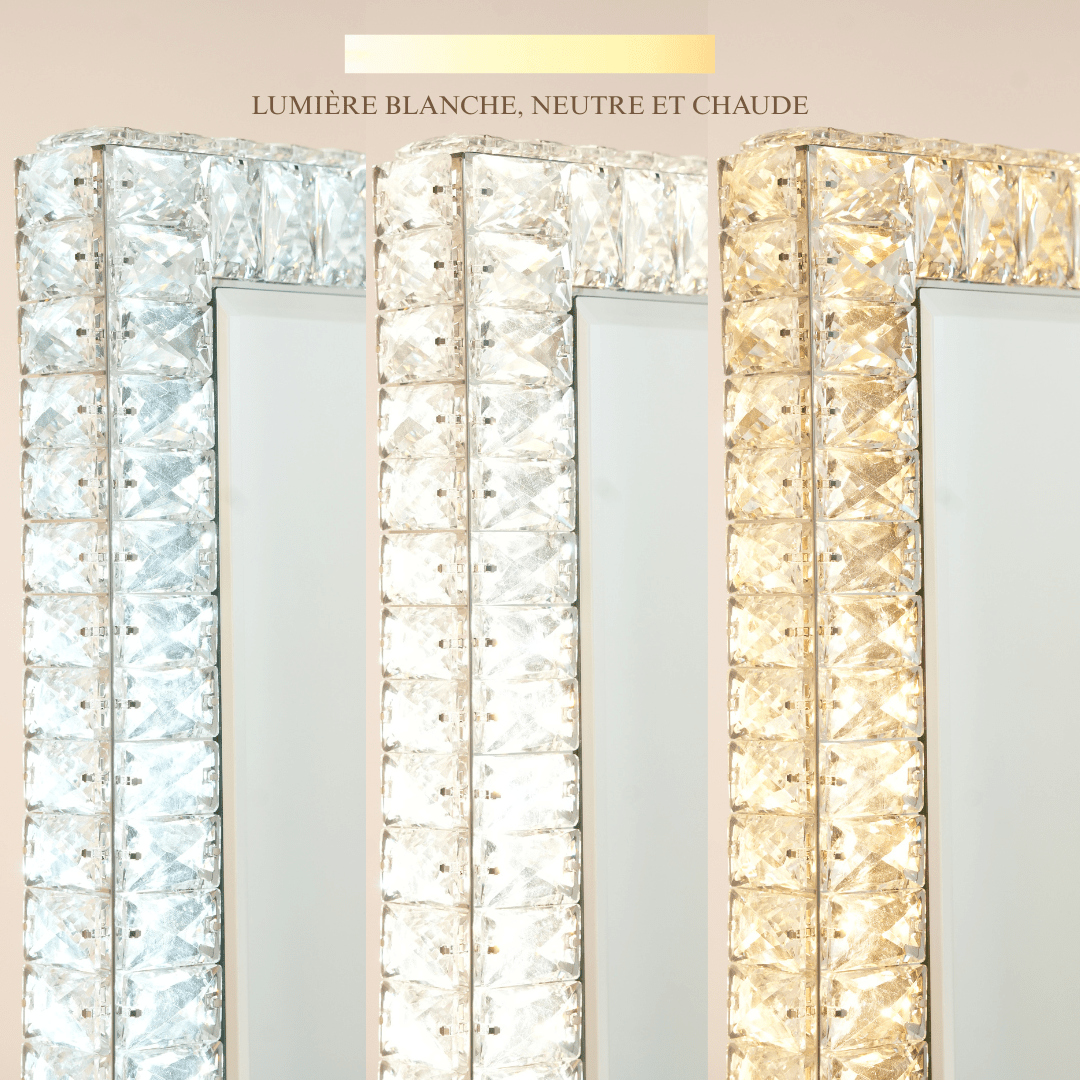 Miroir Adapté Pleine Longueur | Cadre Cristal et Pose au Sol